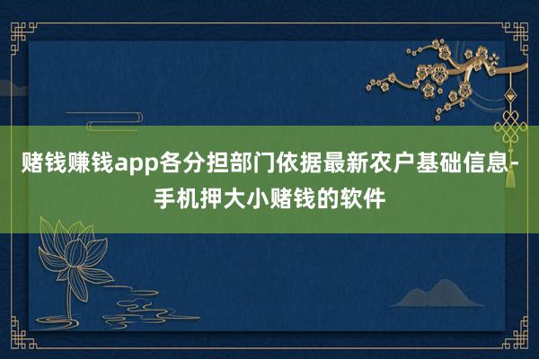 赌钱赚钱app各分担部门依据最新农户基础信息-手机押大小赌钱的软件