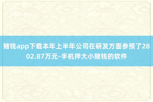 赌钱app下载本年上半年公司在研发方面参预了2802.87万元-手机押大小赌钱的软件
