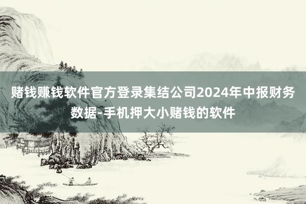 赌钱赚钱软件官方登录集结公司2024年中报财务数据-手机押大小赌钱的软件