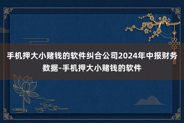 手机押大小赌钱的软件纠合公司2024年中报财务数据-手机押大小赌钱的软件