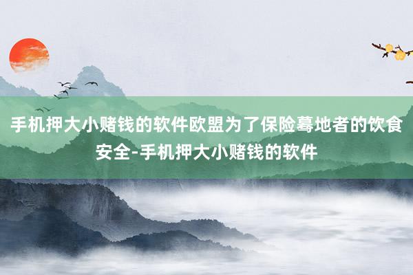 手机押大小赌钱的软件欧盟为了保险蓦地者的饮食安全-手机押大小赌钱的软件