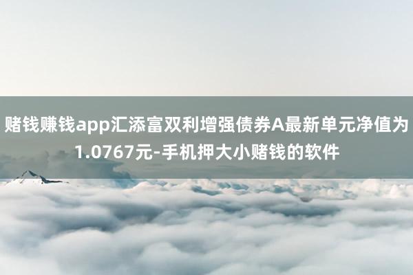 赌钱赚钱app汇添富双利增强债券A最新单元净值为1.0767元-手机押大小赌钱的软件