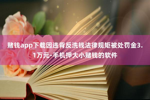 赌钱app下载因违背反洗钱法律规矩被处罚金3.1万元-手机押大小赌钱的软件