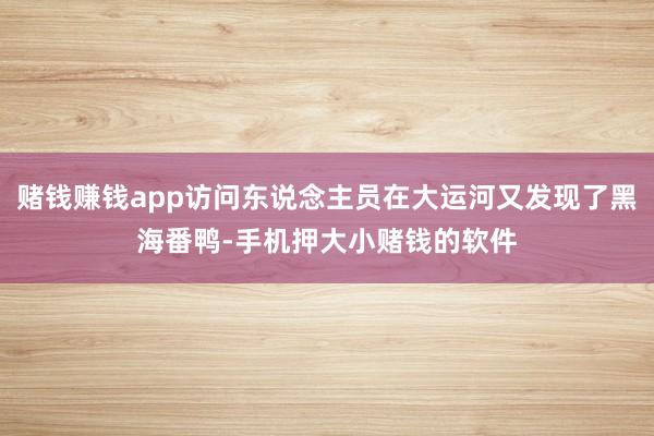 赌钱赚钱app访问东说念主员在大运河又发现了黑海番鸭-手机押大小赌钱的软件