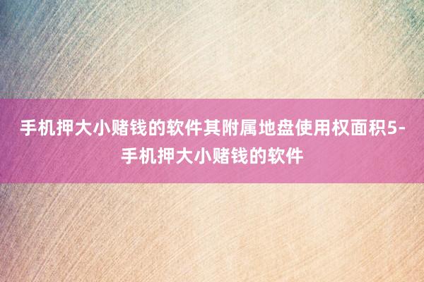 手机押大小赌钱的软件其附属地盘使用权面积5-手机押大小赌钱的软件