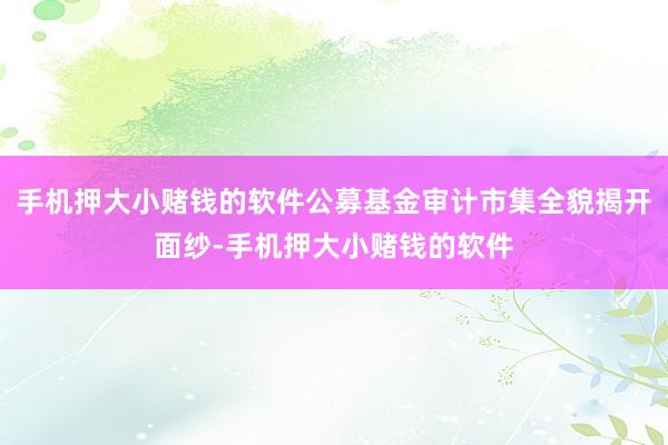 手机押大小赌钱的软件公募基金审计市集全貌揭开面纱-手机押大小赌钱的软件