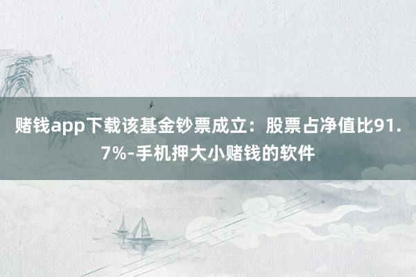 赌钱app下载该基金钞票成立：股票占净值比91.7%-手机押大小赌钱的软件