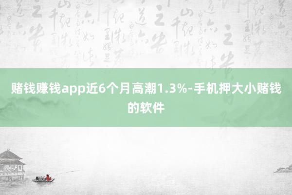 赌钱赚钱app近6个月高潮1.3%-手机押大小赌钱的软件
