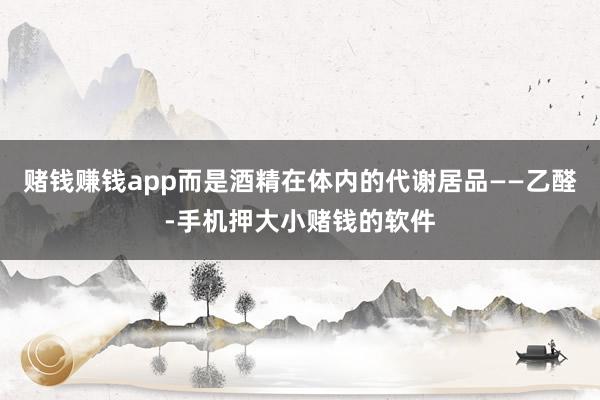 赌钱赚钱app而是酒精在体内的代谢居品——乙醛-手机押大小赌钱的软件