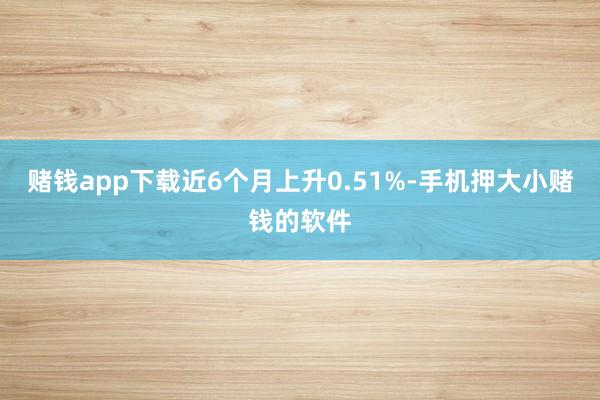 赌钱app下载近6个月上升0.51%-手机押大小赌钱的软件