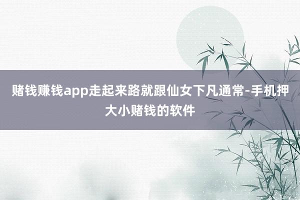 赌钱赚钱app走起来路就跟仙女下凡通常-手机押大小赌钱的软件