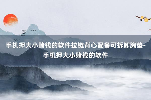 手机押大小赌钱的软件拉链背心配备可拆卸胸垫-手机押大小赌钱的软件