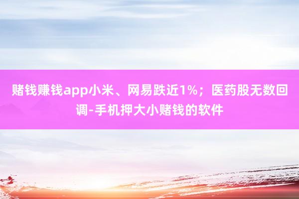 赌钱赚钱app小米、网易跌近1%；医药股无数回调-手机押大小赌钱的软件