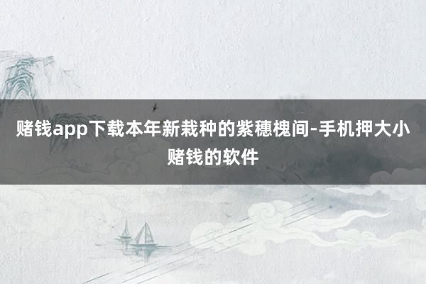 赌钱app下载本年新栽种的紫穗槐间-手机押大小赌钱的软件