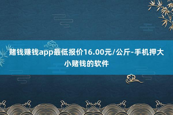 赌钱赚钱app最低报价16.00元/公斤-手机押大小赌钱的软件