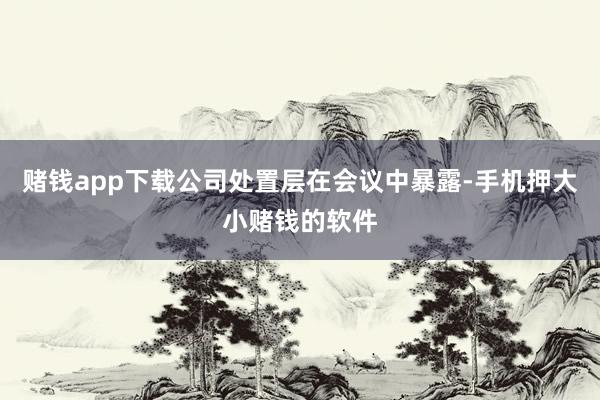 赌钱app下载公司处置层在会议中暴露-手机押大小赌钱的软件