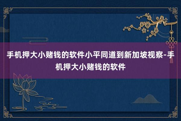 手机押大小赌钱的软件小平同道到新加坡视察-手机押大小赌钱的软件