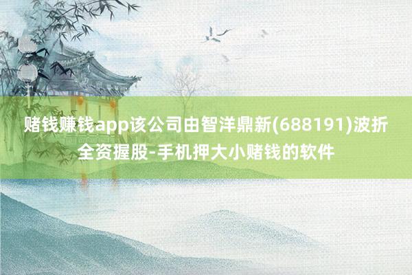 赌钱赚钱app该公司由智洋鼎新(688191)波折全资握股-手机押大小赌钱的软件