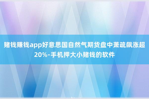 赌钱赚钱app好意思国自然气期货盘中萧疏飙涨超20%-手机押大小赌钱的软件