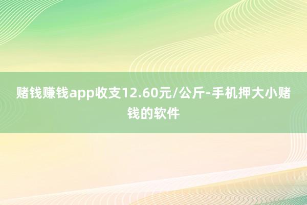 赌钱赚钱app收支12.60元/公斤-手机押大小赌钱的软件