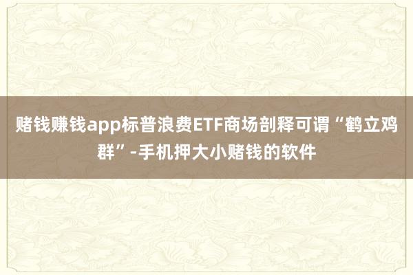 赌钱赚钱app标普浪费ETF商场剖释可谓“鹤立鸡群”-手机押大小赌钱的软件