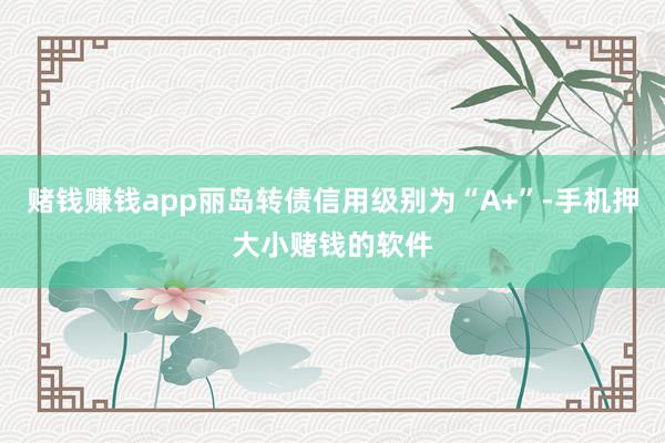 赌钱赚钱app丽岛转债信用级别为“A+”-手机押大小赌钱的软件