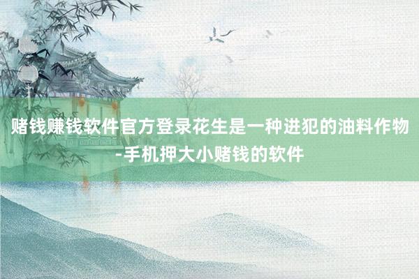 赌钱赚钱软件官方登录花生是一种进犯的油料作物-手机押大小赌钱的软件