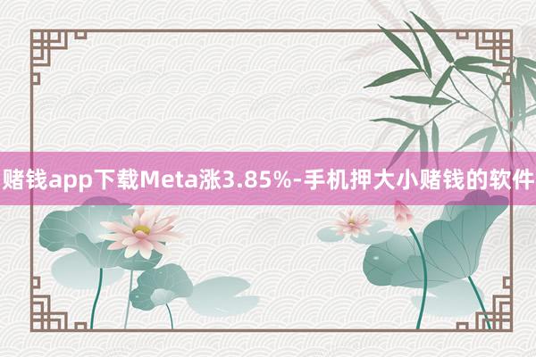 赌钱app下载Meta涨3.85%-手机押大小赌钱的软件