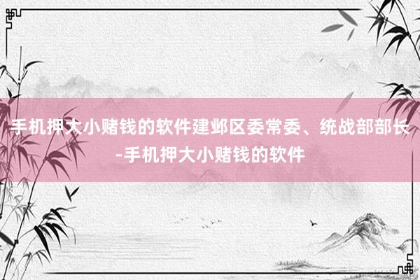 手机押大小赌钱的软件建邺区委常委、统战部部长-手机押大小赌钱的软件