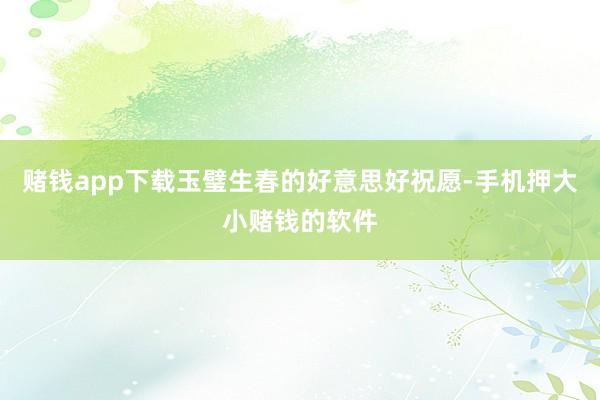 赌钱app下载玉璧生春的好意思好祝愿-手机押大小赌钱的软件