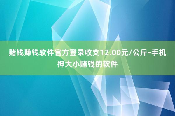 赌钱赚钱软件官方登录收支12.00元/公斤-手机押大小赌钱的软件