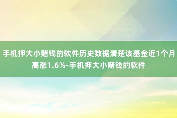 手机押大小赌钱的软件历史数据清楚该基金近1个月高涨1.6%-手机押大小赌钱的软件
