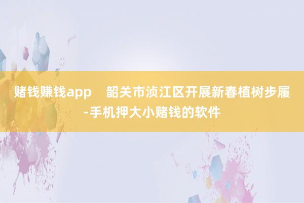 赌钱赚钱app    韶关市浈江区开展新春植树步履-手机押大小赌钱的软件