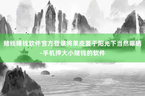赌钱赚钱软件官方登录将果皮置于阳光下当然曝晒-手机押大小赌钱的软件