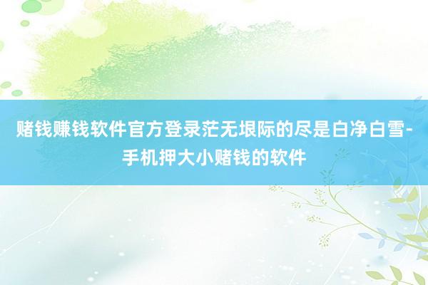 赌钱赚钱软件官方登录茫无垠际的尽是白净白雪-手机押大小赌钱的软件