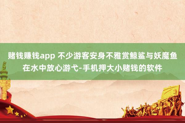 赌钱赚钱app 不少游客安身不雅赏鲸鲨与妖魔鱼在水中放心游弋-手机押大小赌钱的软件