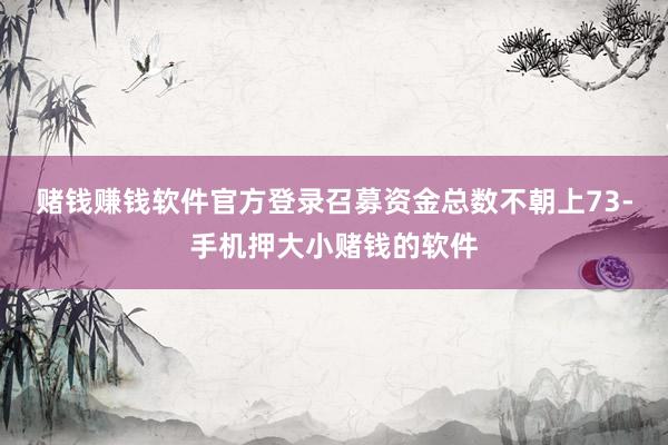 赌钱赚钱软件官方登录召募资金总数不朝上73-手机押大小赌钱的软件