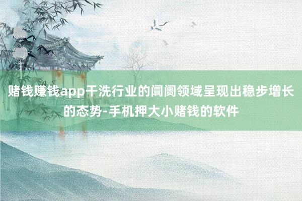 赌钱赚钱app干洗行业的阛阓领域呈现出稳步增长的态势-手机押大小赌钱的软件