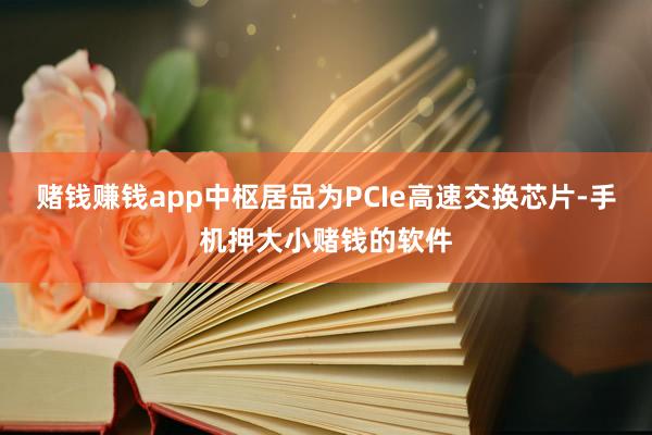 赌钱赚钱app中枢居品为PCIe高速交换芯片-手机押大小赌钱的软件