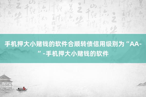 手机押大小赌钱的软件合顺转债信用级别为“AA-”-手机押大小赌钱的软件