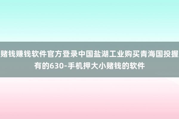 赌钱赚钱软件官方登录中国盐湖工业购买青海国投握有的630-手机押大小赌钱的软件