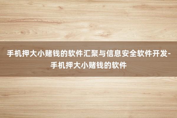 手机押大小赌钱的软件汇聚与信息安全软件开发-手机押大小赌钱的软件
