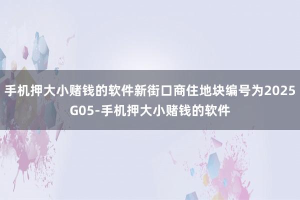 手机押大小赌钱的软件新街口商住地块编号为2025G05-手机押大小赌钱的软件