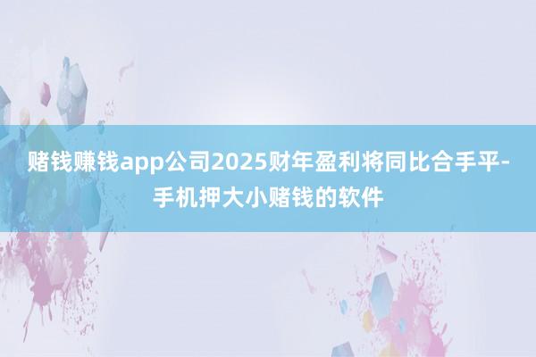 赌钱赚钱app公司2025财年盈利将同比合手平-手机押大小赌钱的软件