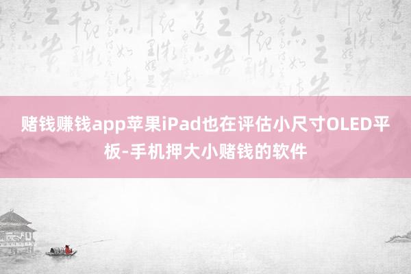 赌钱赚钱app苹果iPad也在评估小尺寸OLED平板-手机押大小赌钱的软件