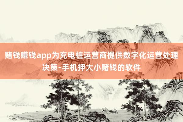 赌钱赚钱app为充电桩运营商提供数字化运营处理决策-手机押大小赌钱的软件