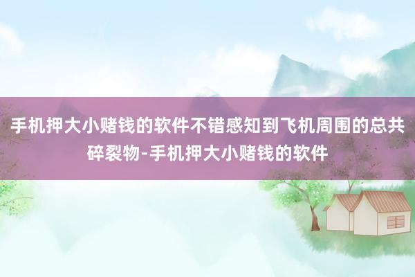 手机押大小赌钱的软件不错感知到飞机周围的总共碎裂物-手机押大小赌钱的软件