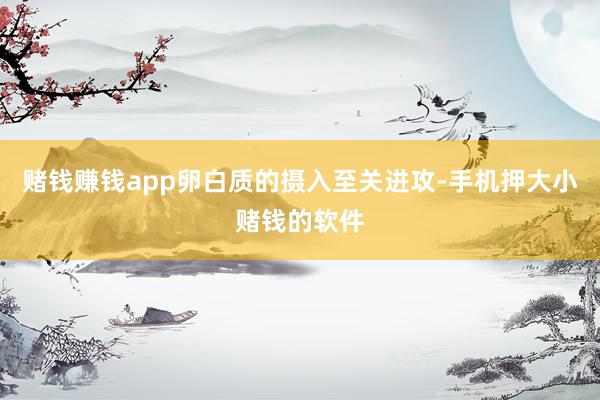 赌钱赚钱app卵白质的摄入至关进攻-手机押大小赌钱的软件