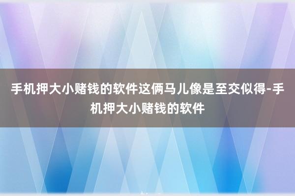 手机押大小赌钱的软件这俩马儿像是至交似得-手机押大小赌钱的软件