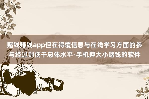 赌钱赚钱app但在得覆信息与在线学习方面的参与经过则低于总体水平-手机押大小赌钱的软件